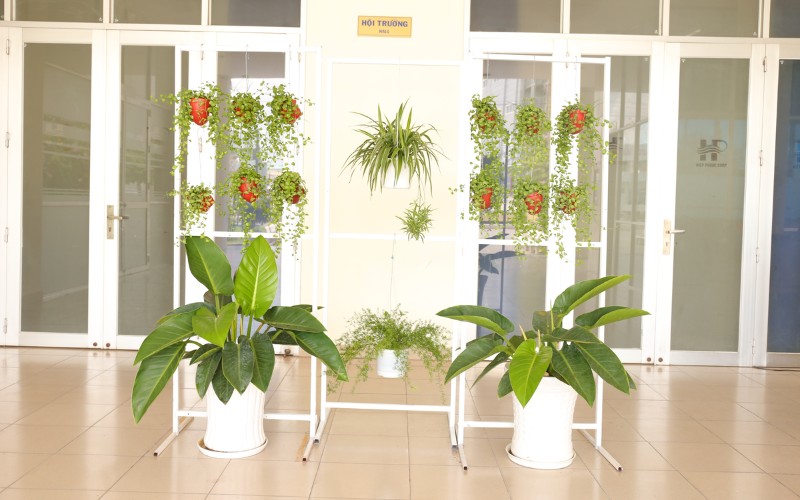 Phong Trào Thi Đua Xây Dựng Hiệp Phước Xanh Lần 1/2020 | Hiep Phuoc 산업단지 주식회사