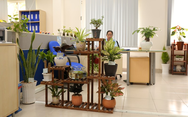 Phong Trào Thi Đua Xây Dựng Hiệp Phước Xanh Lần 1/2020 | Hiep Phuoc 산업단지 주식회사